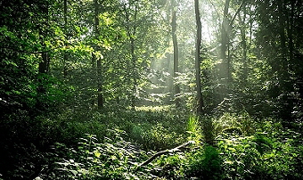 Südheide   Quelle: Screenshot